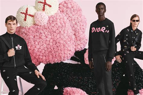 kaws dior collection